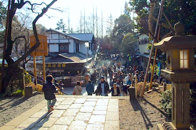 Jindai Botanical Garden