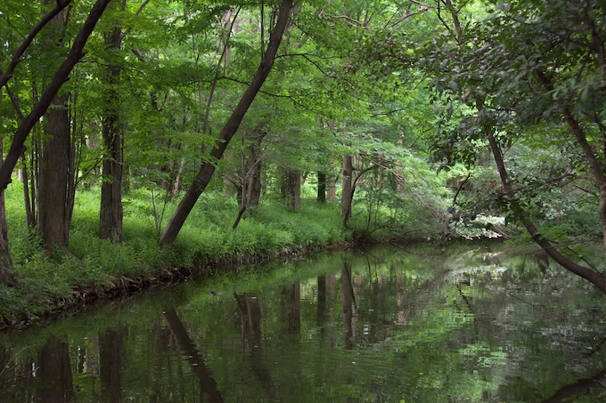 Jindai Botanical Garden