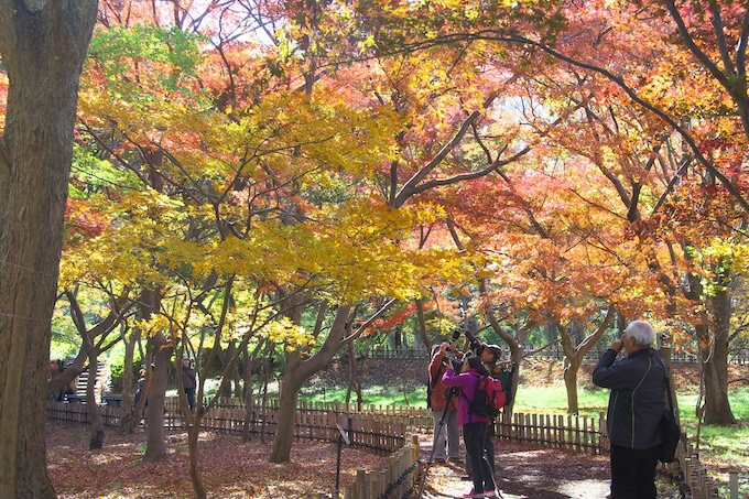 Jindai Botanical Garden