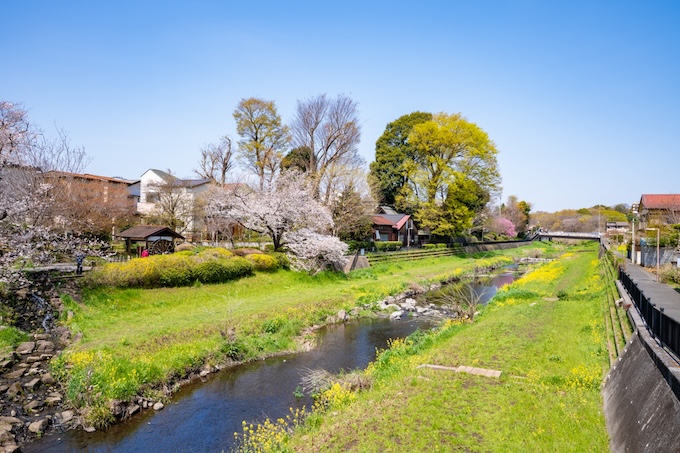 Nogawa River